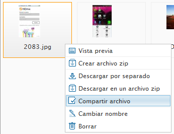 Puedo mis archivos también a través de una interfaz