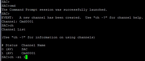 El acceso al servidor a trav�s de SAC-1.jpg