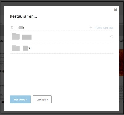 BackupControl en HiDrive-1.jpg