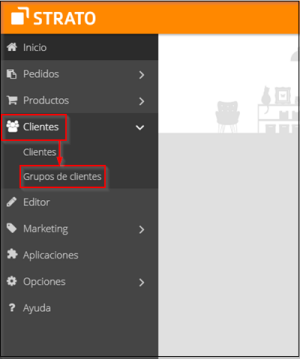 Grupo de clientes Tienda Online Now-1.png