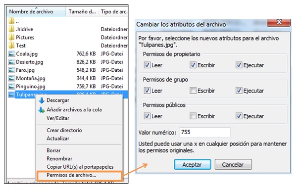 cambiar CHMOD con Filezilla-3.jpg