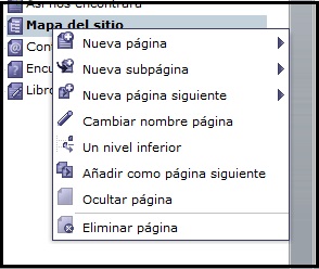 Crear estructura en Livepages-3.jpg